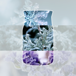 SNOW KISSED PINE